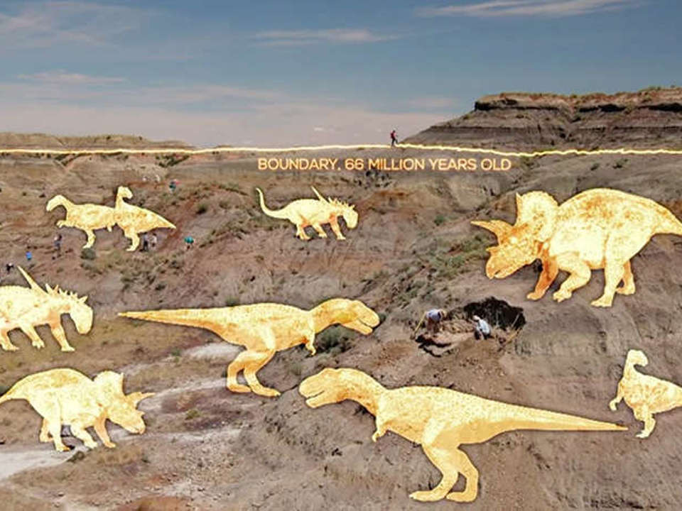 a photograph of a cliff with different dinosaurs market out as to when in "time" in the stratigraphy of the cliff they died out, also marking the Kpg boundary of 66 million years ago.