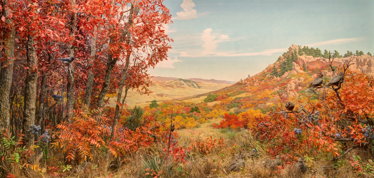 Jarre Canyon, Gamble Oak Diorama, Denver Museum of Nature & Science (Photo: Rick Wicker) 