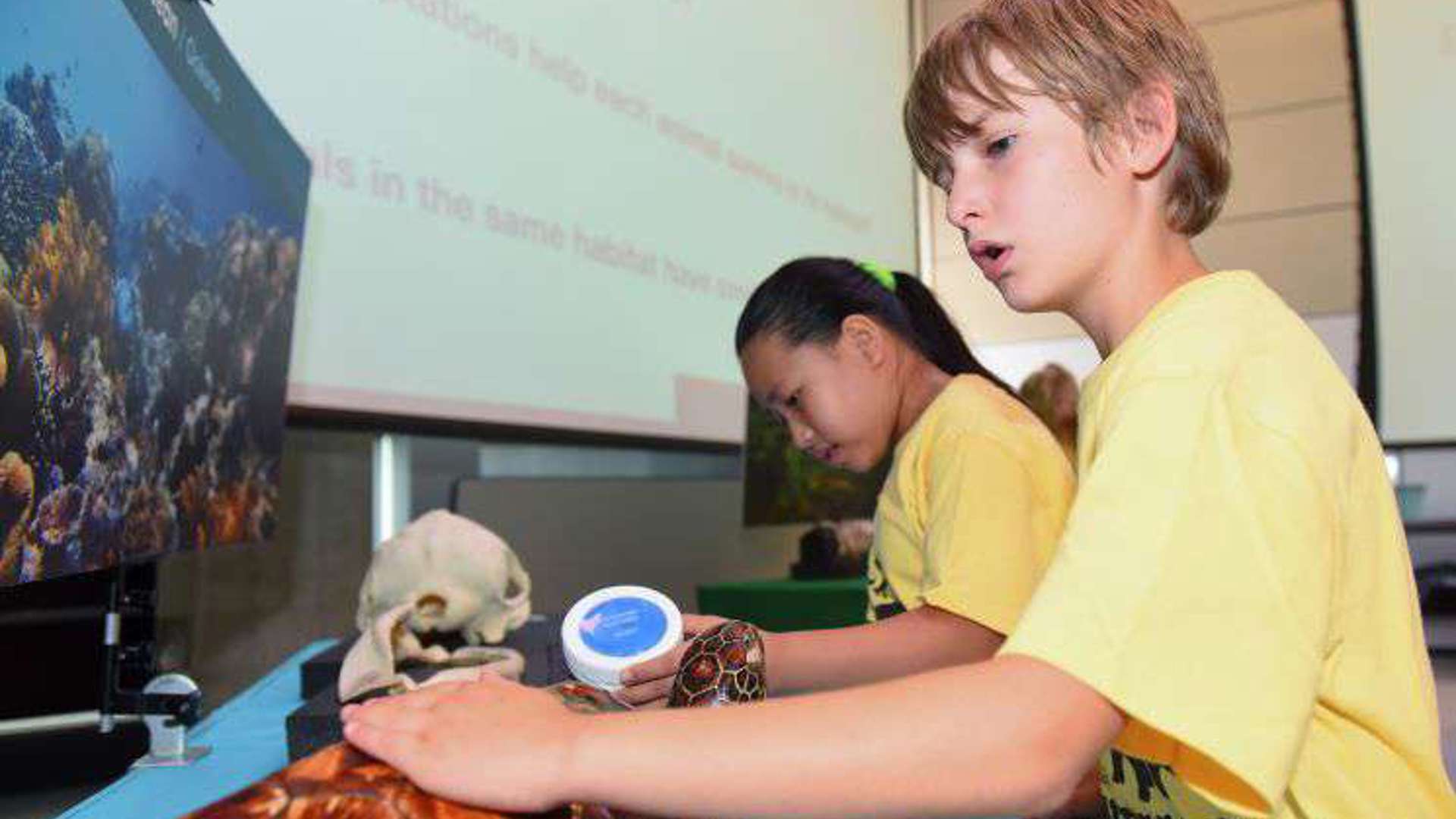 Two children observe a turtle shell with fascination, their expressions reflecting delight and curiosity as they learn about ecosystems.