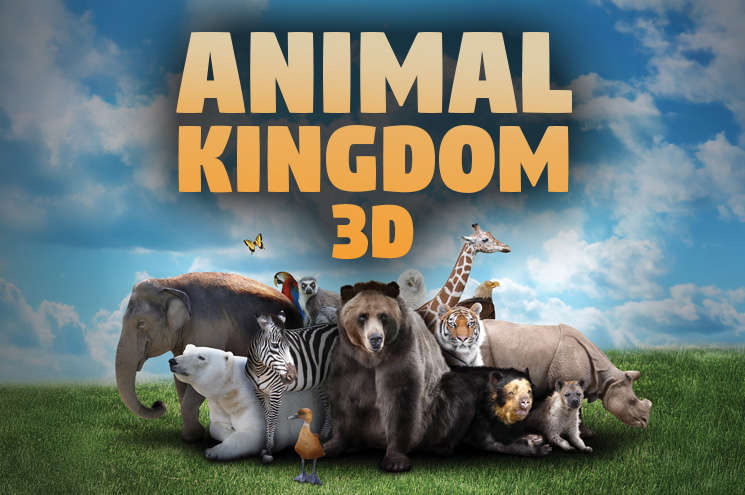 Animal Kingdom graphic