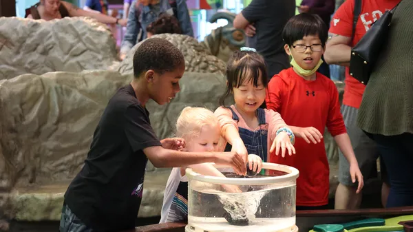 Children playing in  the Discovery Zone