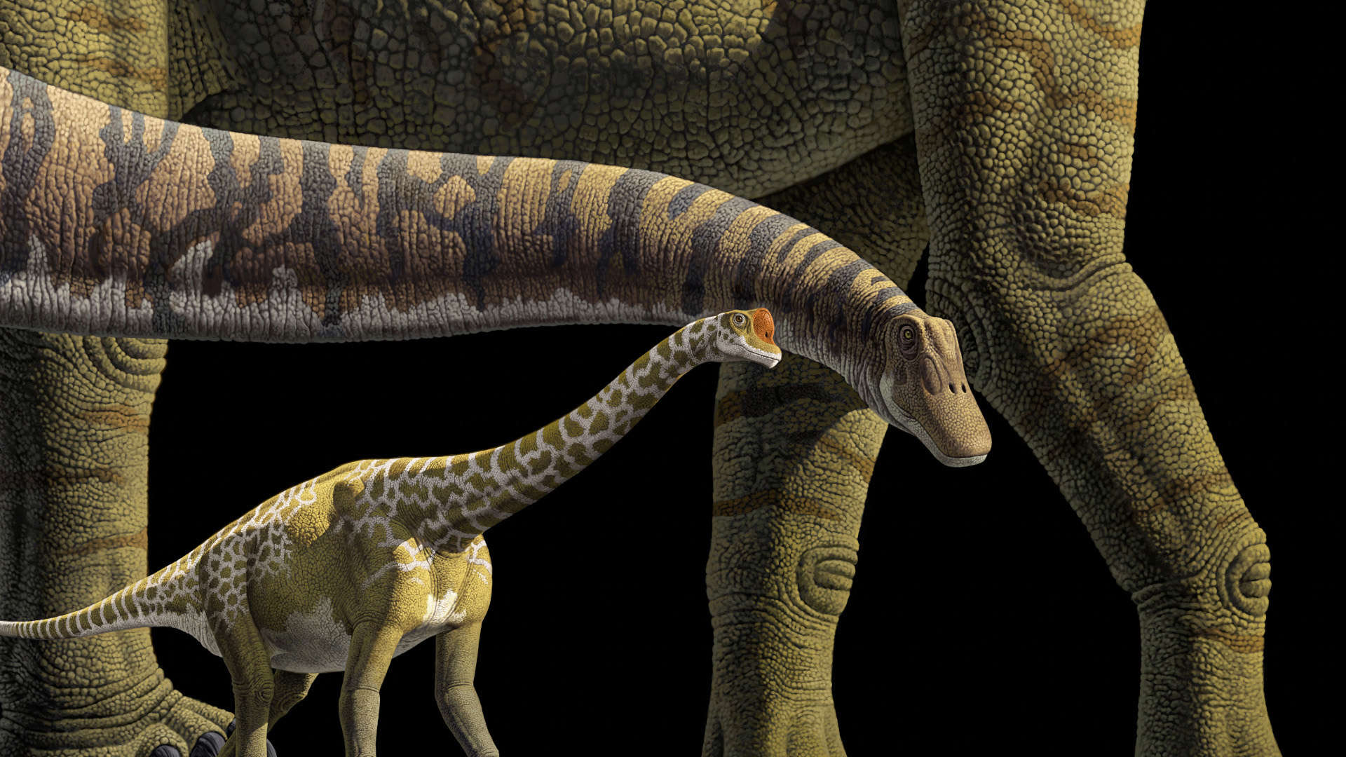 Sauropods Parade 1920X1080