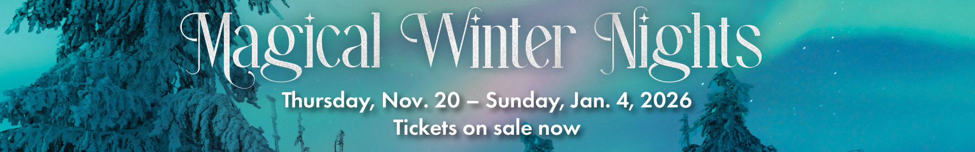 Enjoy Magical Winter Nights at DMNS