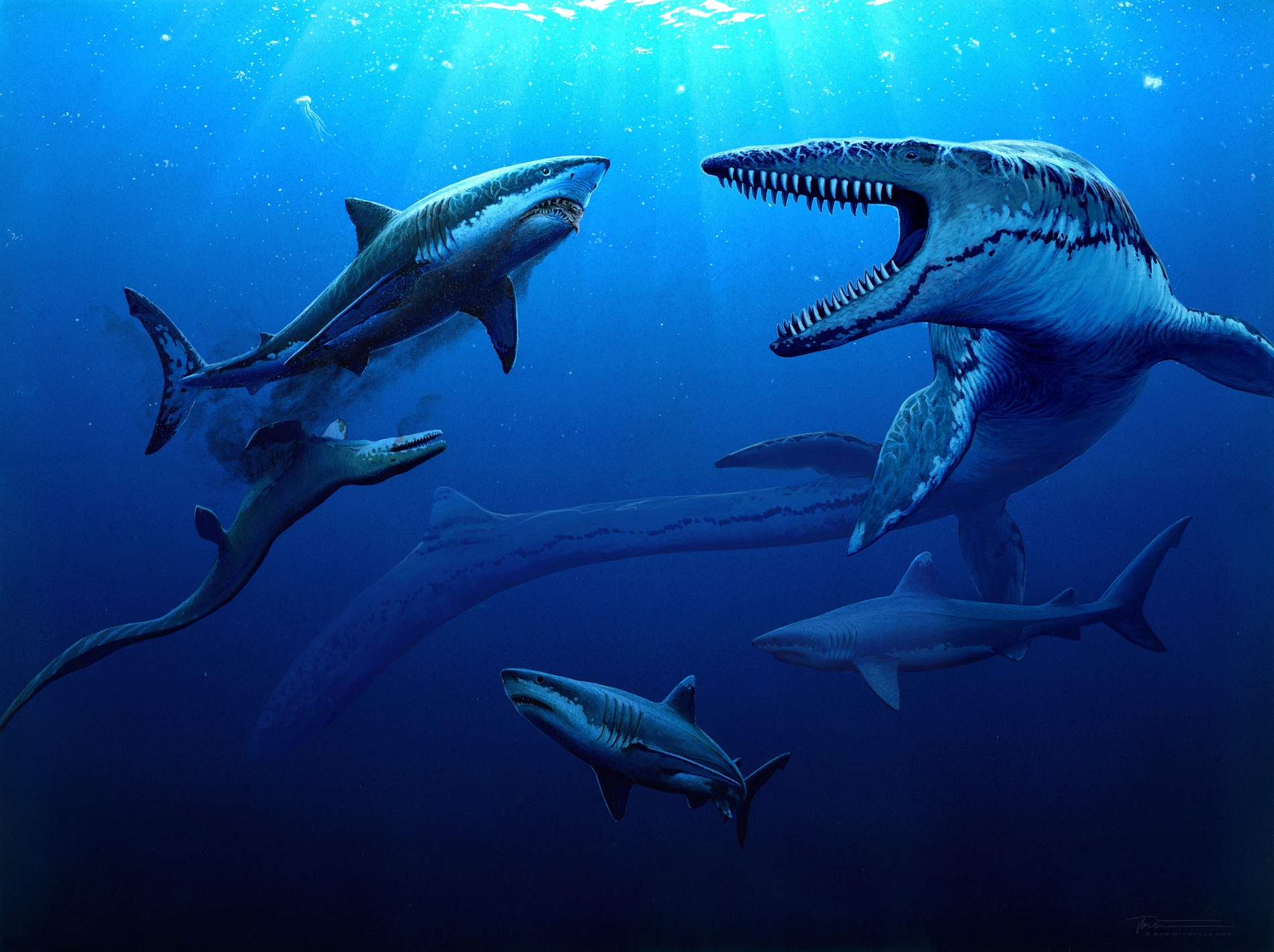 Cretaceous Jaws (C)Nicholls2001 1900X1420 Dd10181
