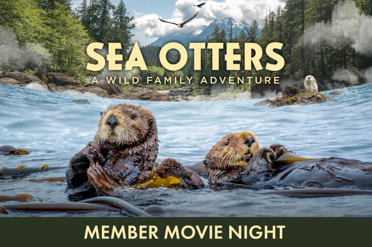 SO Member Movie Night Digital Assets V2 745X495 Webstore