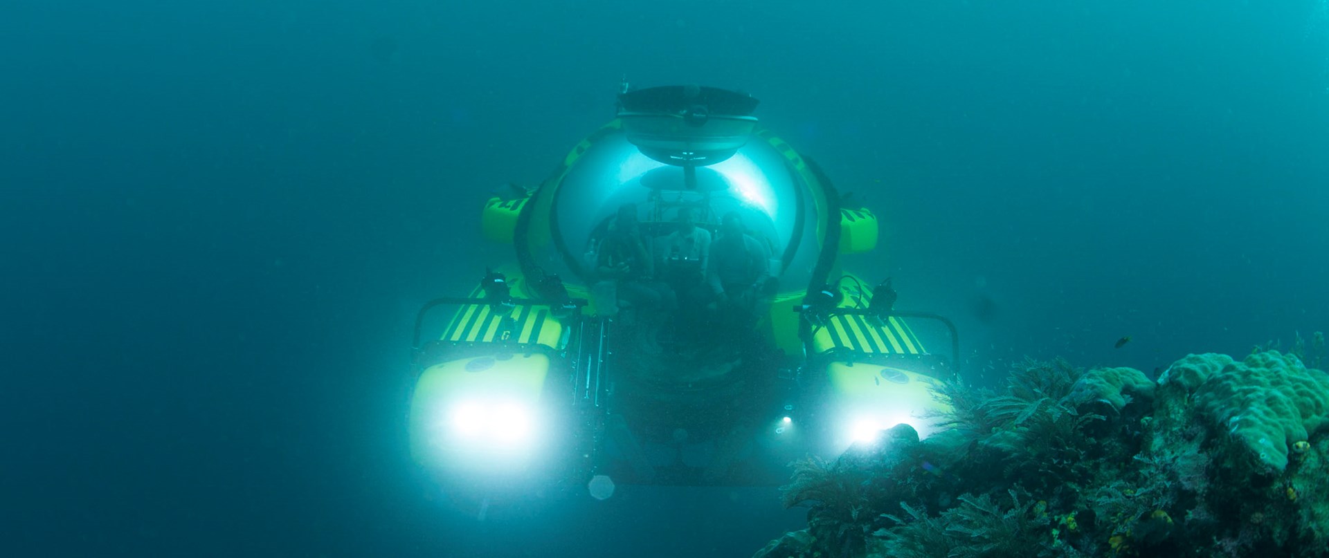 2014 Raja Ampat 1021