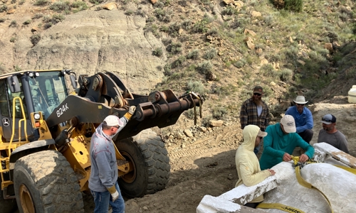 The team setting up straps and preparing to flip the fossil