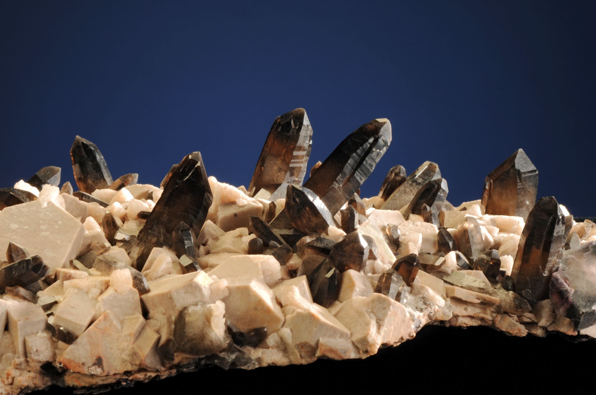 IV.CI EGM.18728 Detail 1 Edit