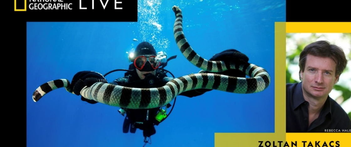 Screenshot 2023 04 18 At 111824 Am