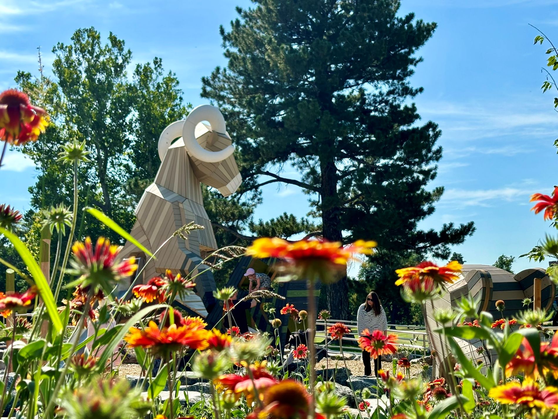 Flowers And Ram Tight Shot 1