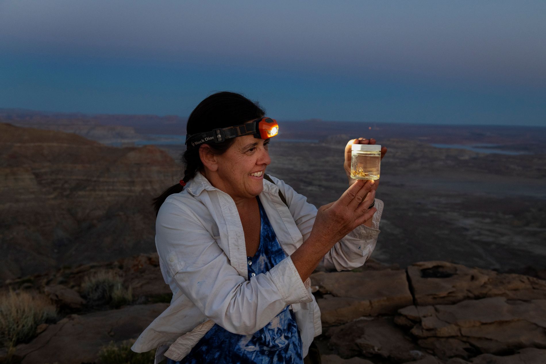 Dr. Paula Cushing's fieldwork collecting camel spiders in Utah on June 6, 2018. (Photo/ Rick Wicker)