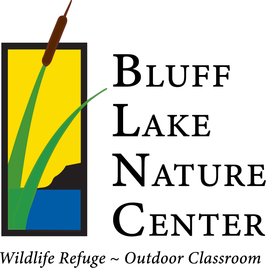 2019 Logo Medium Res 5 1