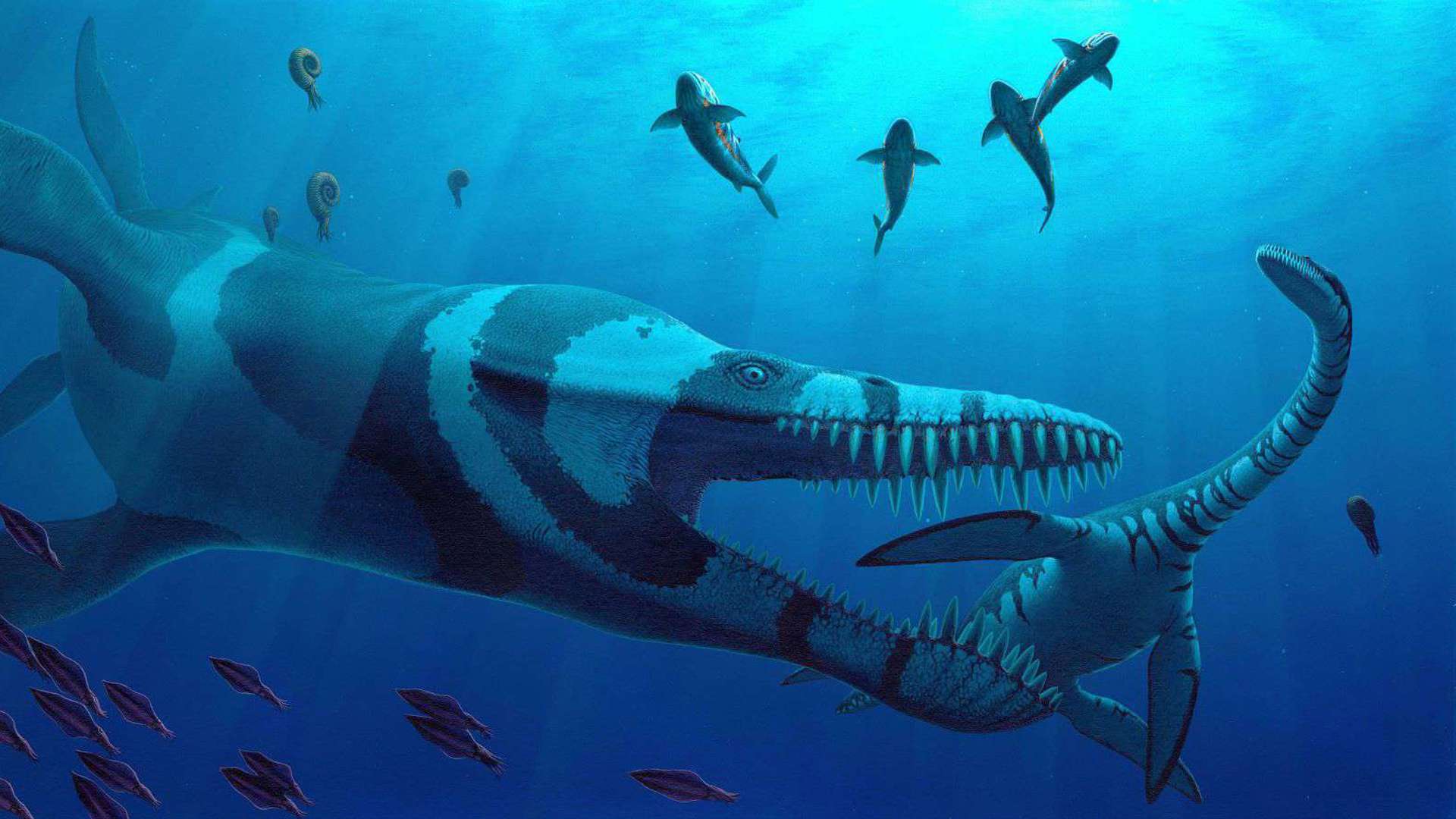 Leviathan ©Nicholls2009.Pdf EDIT