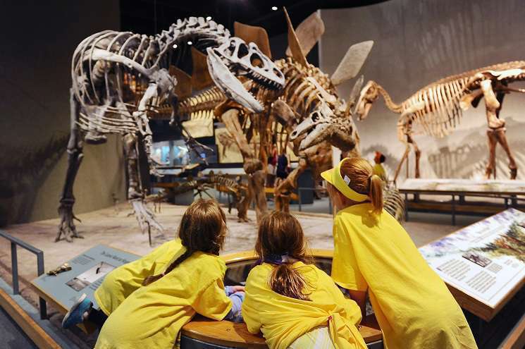 Three children marvel at dinosaur skeletons in a museum, engaging with the fascinating world of paleontology.