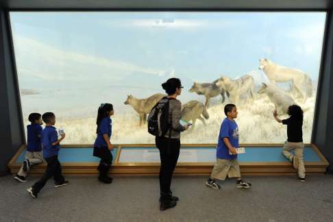 Dmns School Trip 1797 Saa Ipad