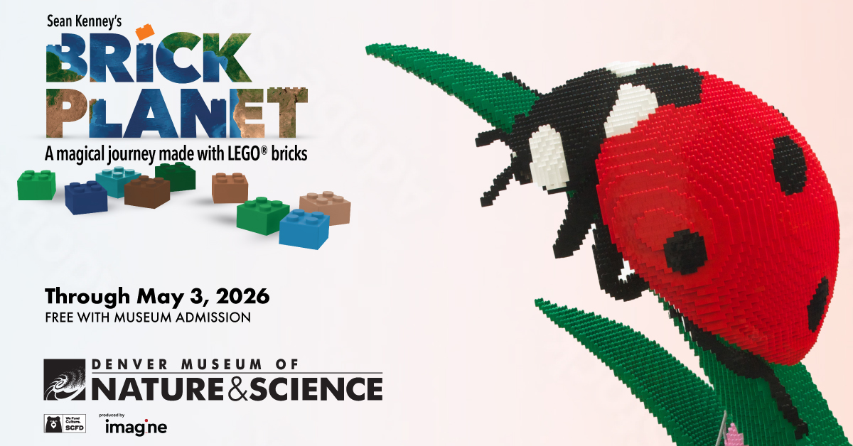 BP Static Digital Images V2 Ladybug 1200X628