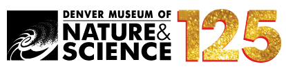 DMNS 125 Logo