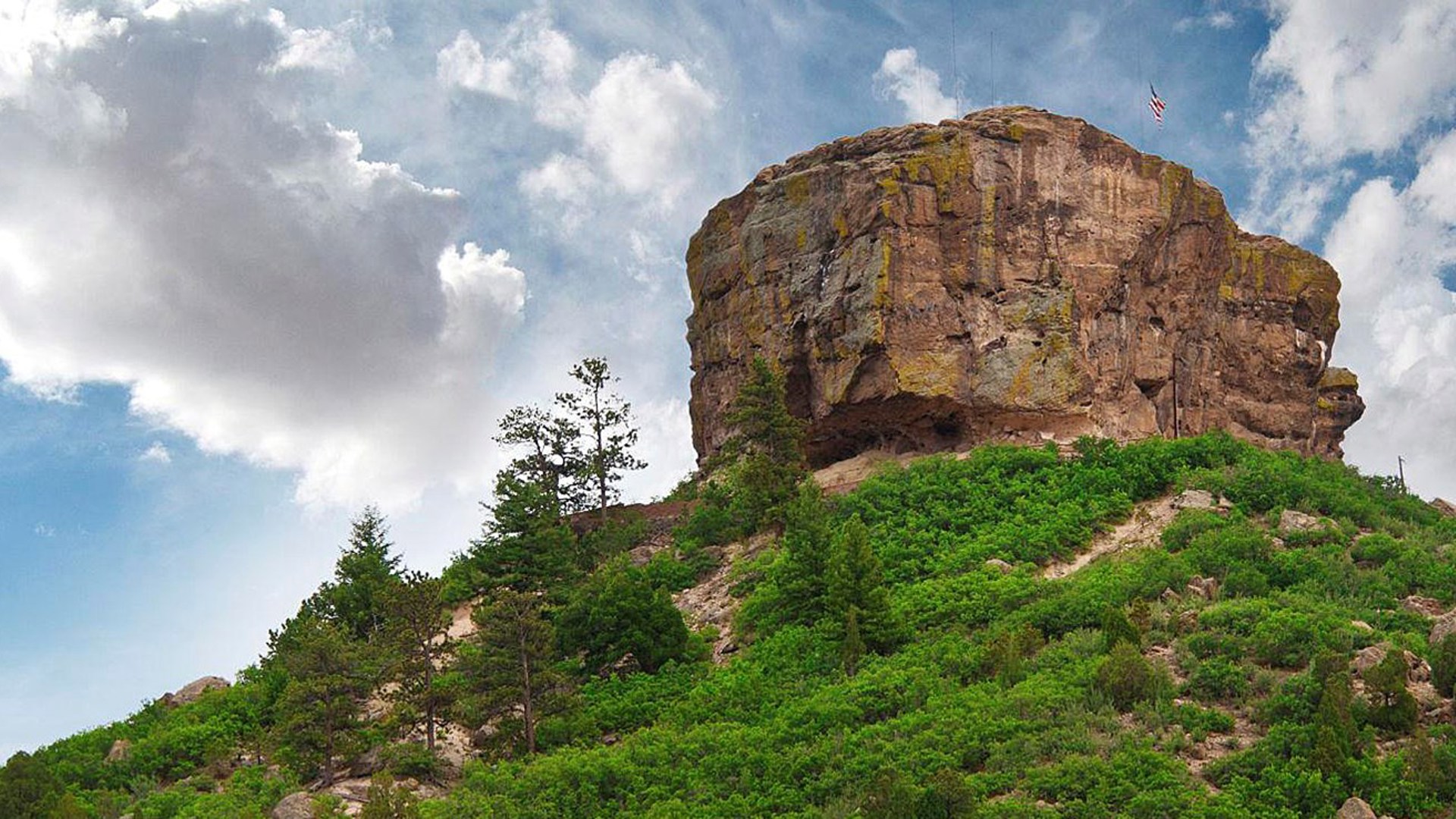 Cr Ivana Starcevic Modified