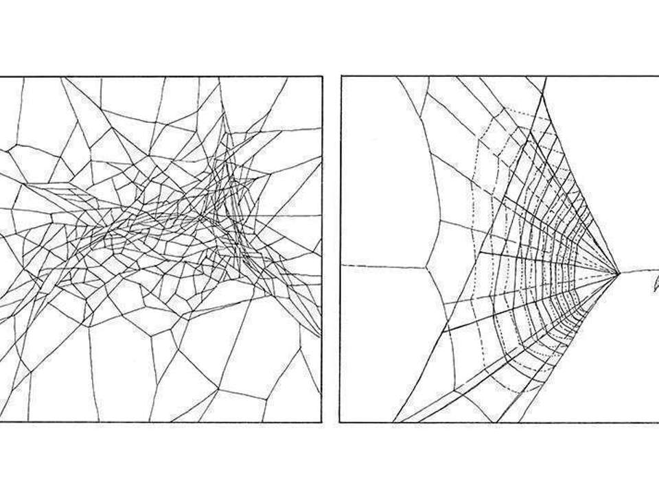 black and white drawing of two types of webs spiders spin