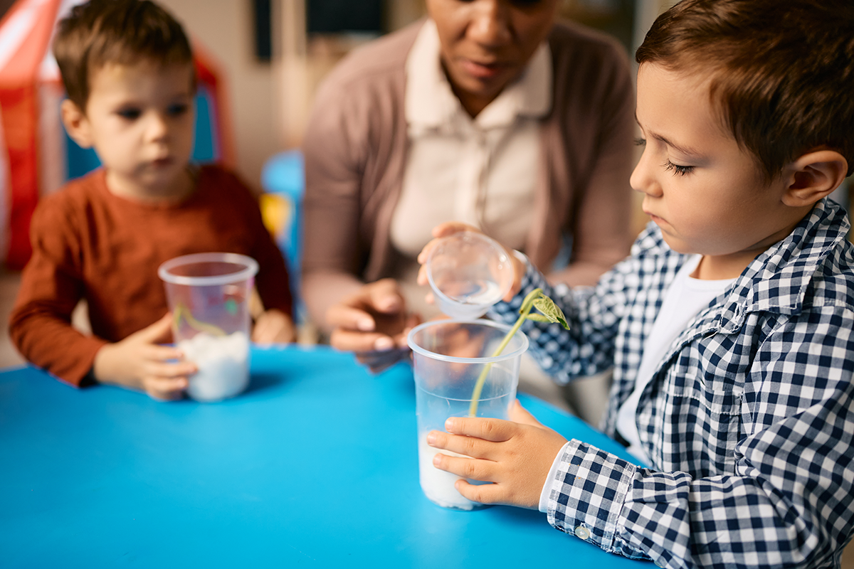 Small Boy Learning To Plant Seeds During Biology C 2026 01 07 02 28 50 Utc