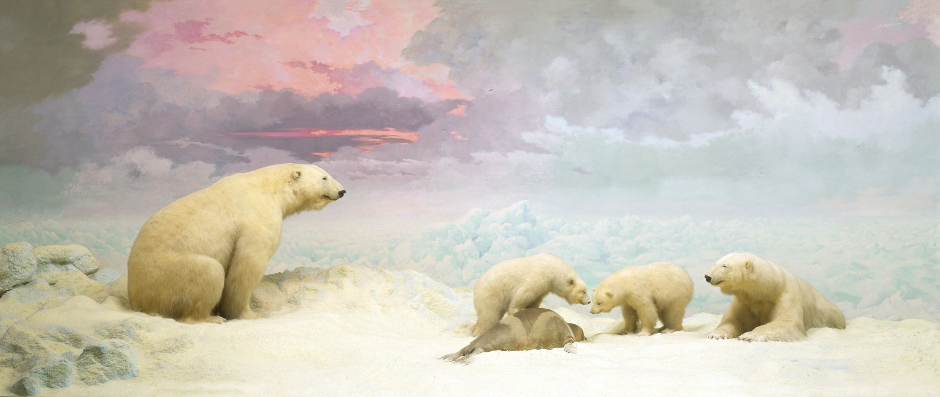 Polarplusbearplusivdal3 1