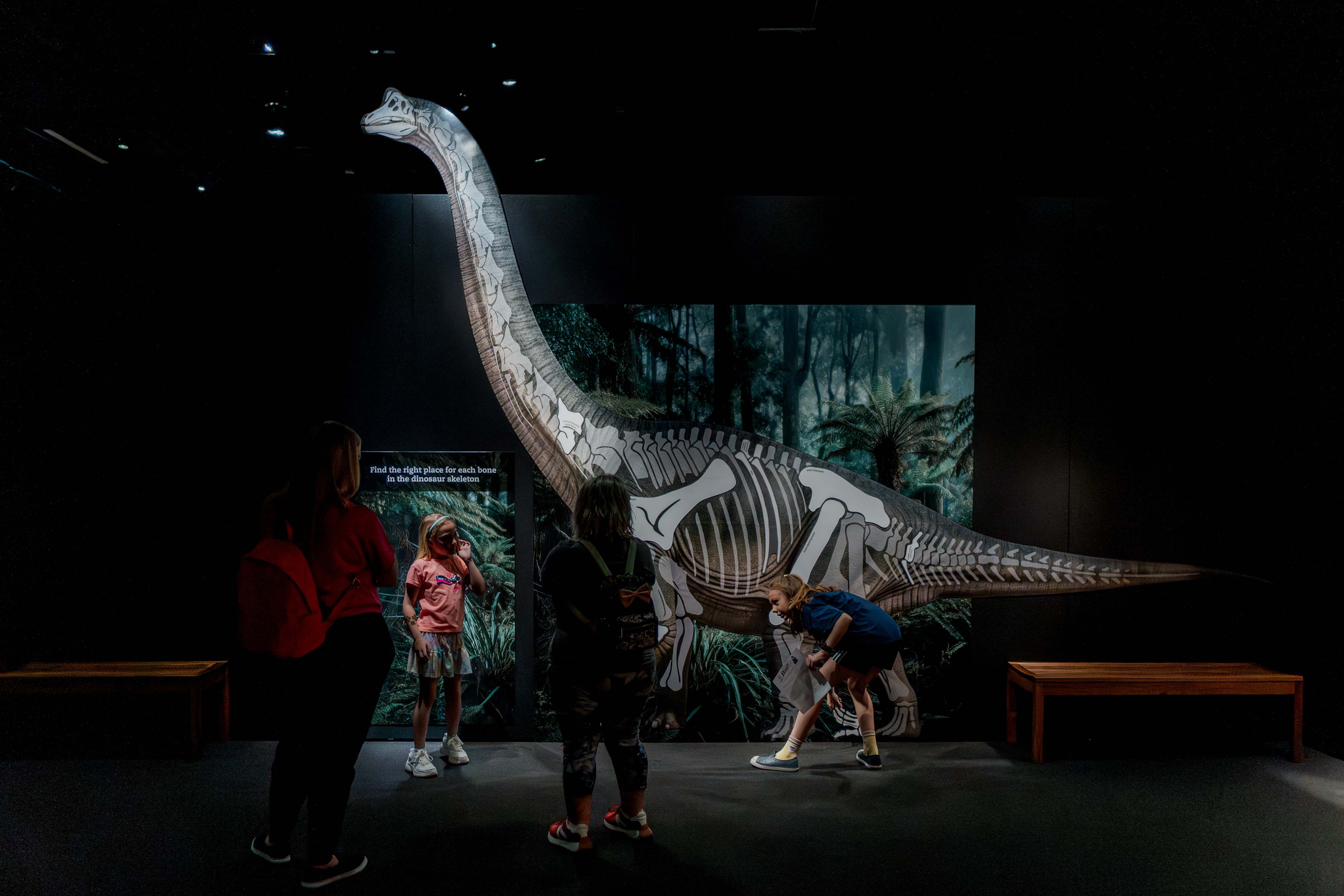 Child In Front Of Dino