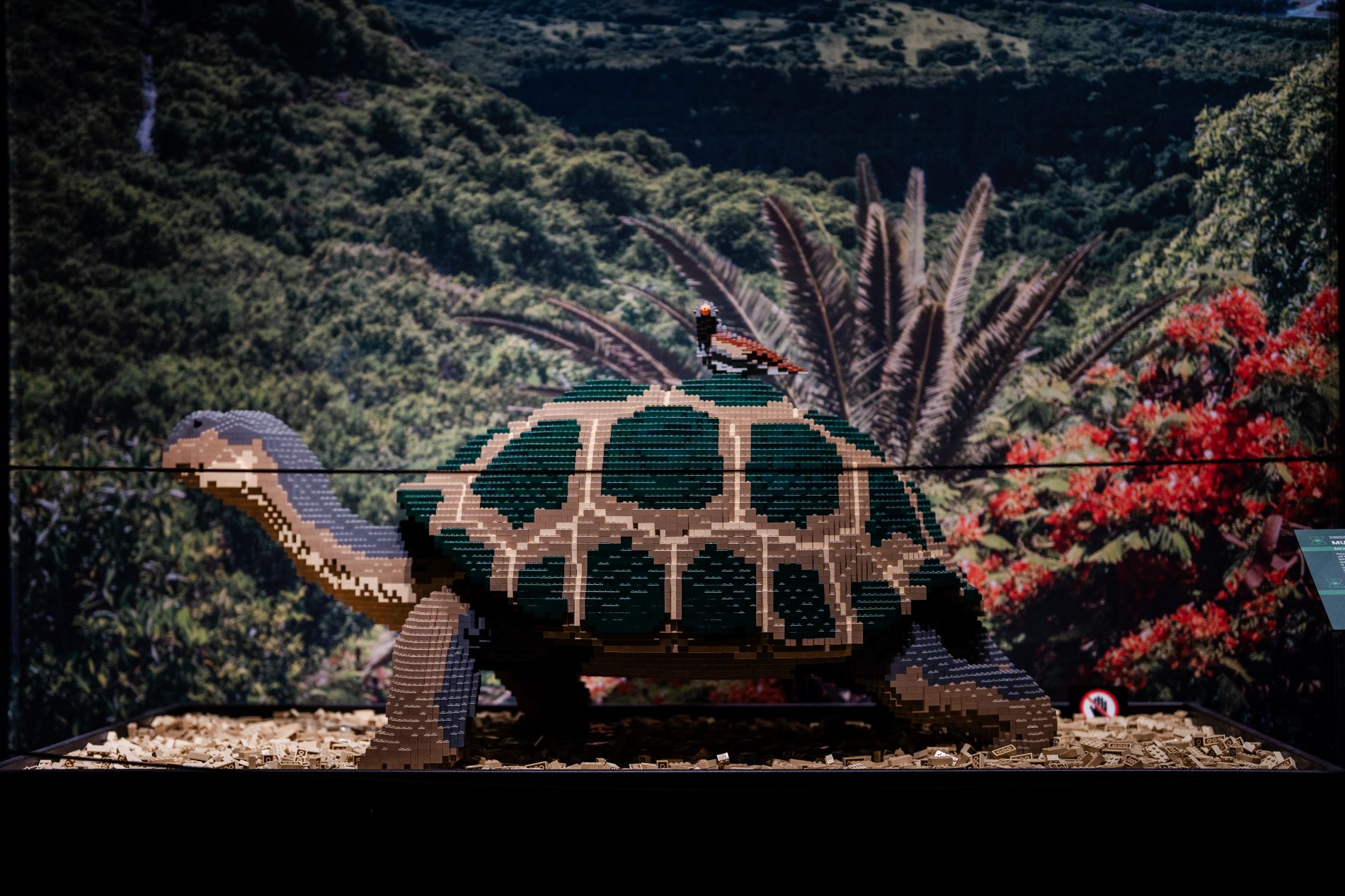 This sculpture, "Galapagos Tortoise," created by artist Sean Kenney in 2015 took 290 hours and 23,317 LEGO® bricks to build. (Photo/ Mio Sison III)