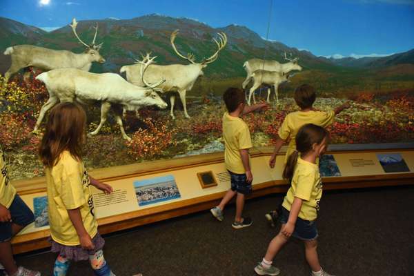 DMNS Summer Camp kids explore Diorama halls
