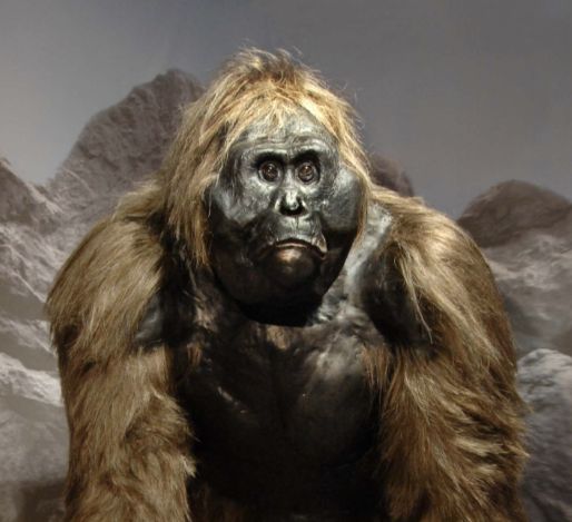 4. Gigantopithecus