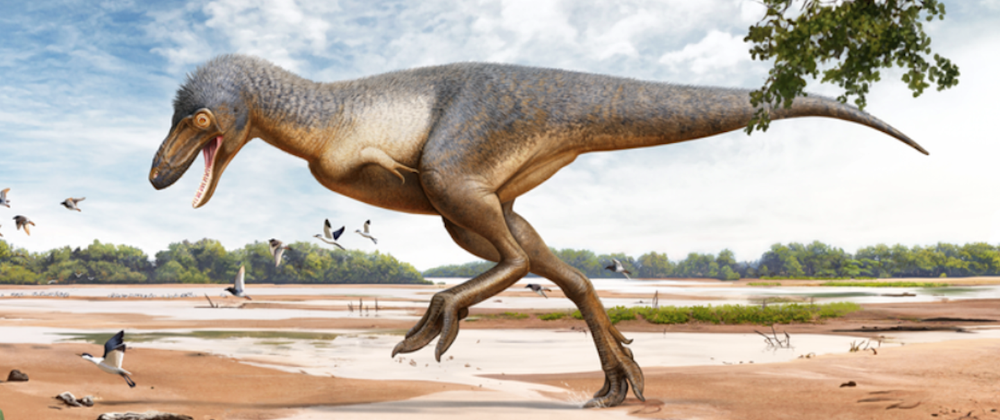 Screenshot 2024 05 24 At 111724 Pm