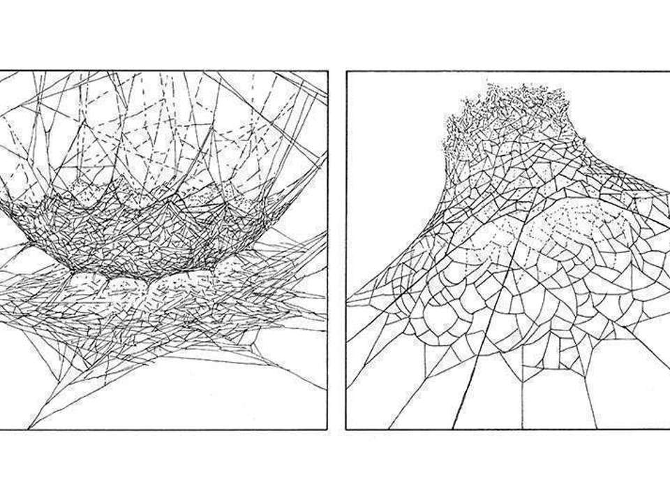 black and white drawing of two types of webs spiders spin
