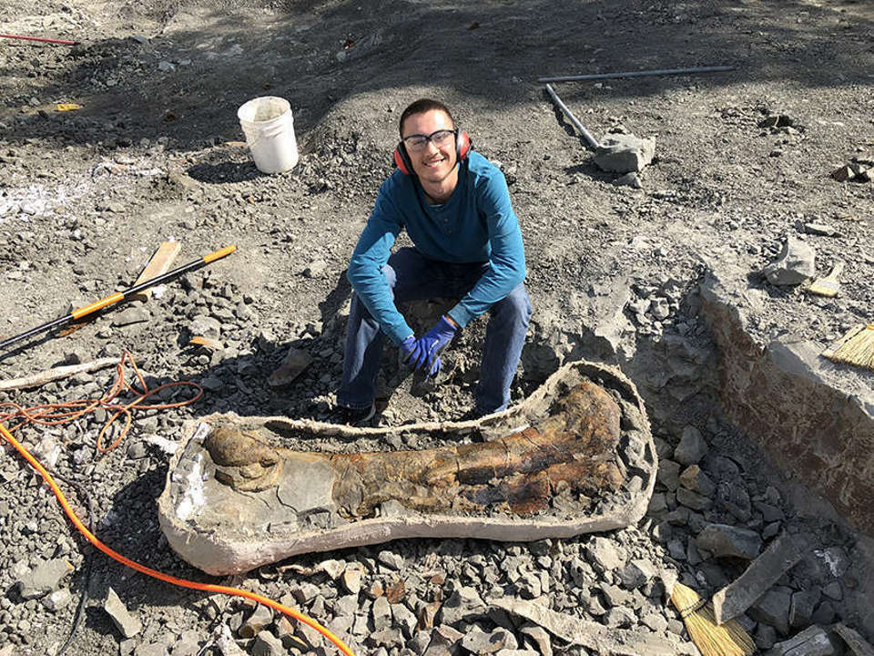 Man in a teal shirt sitting in front of a field jacket with a large dinosuar fossil with various tools around him