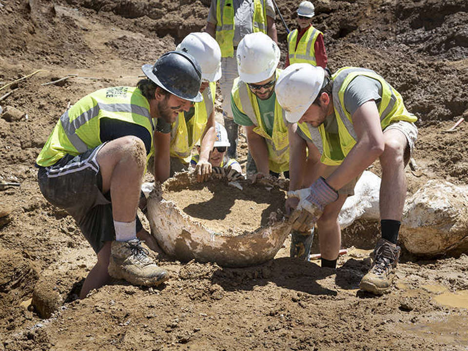 group of 4 staff in hard hats and yellow safety vests work together to move a field jacket of a fossil