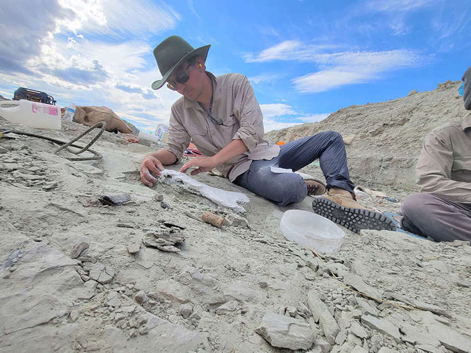 man in a hat and sunglasses laying on the ground working on a fossil that is still embedded in the earth
