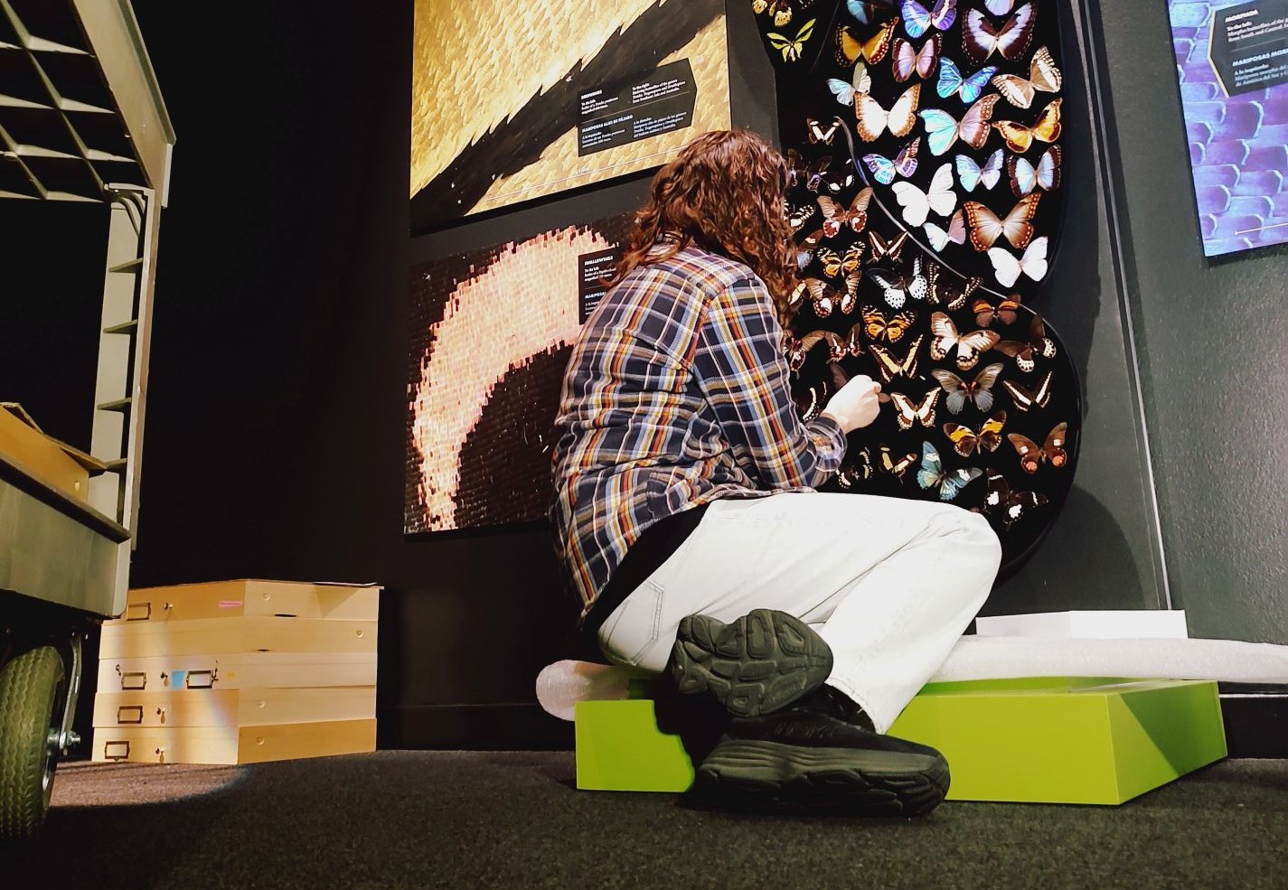 IMG 20241008 111828589 (1)