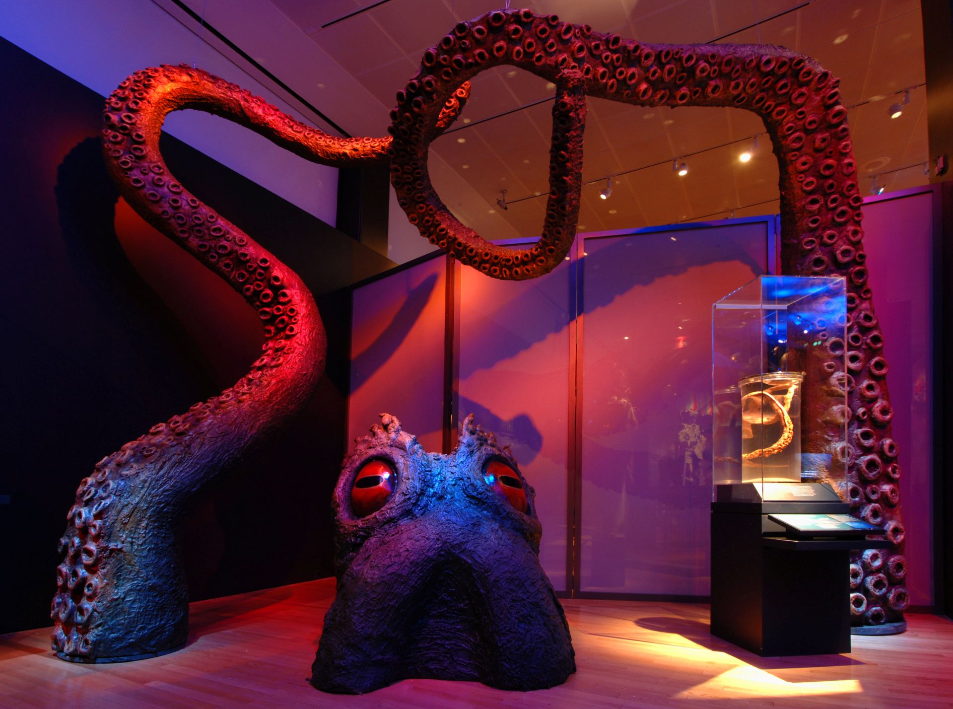 Kraken inside exhibition