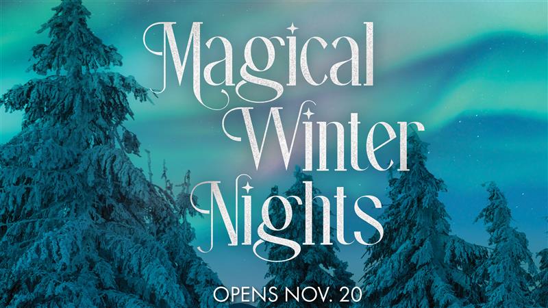 Magical Winter Nights graphic