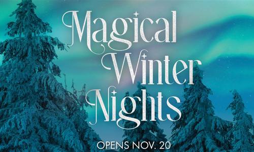 Magical Winter Nights graphic