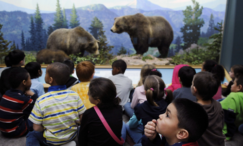 Wildlife Hall
