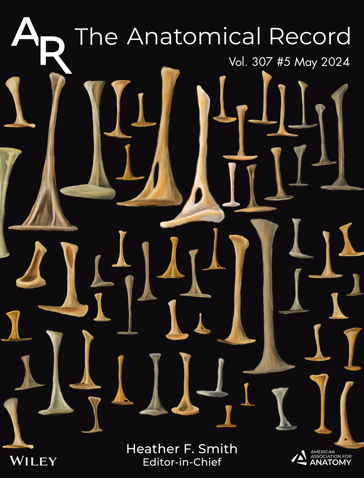 The Anatomical Record 2024 Cover Image 1 Page 0001