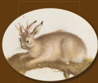 13. Jackalope
