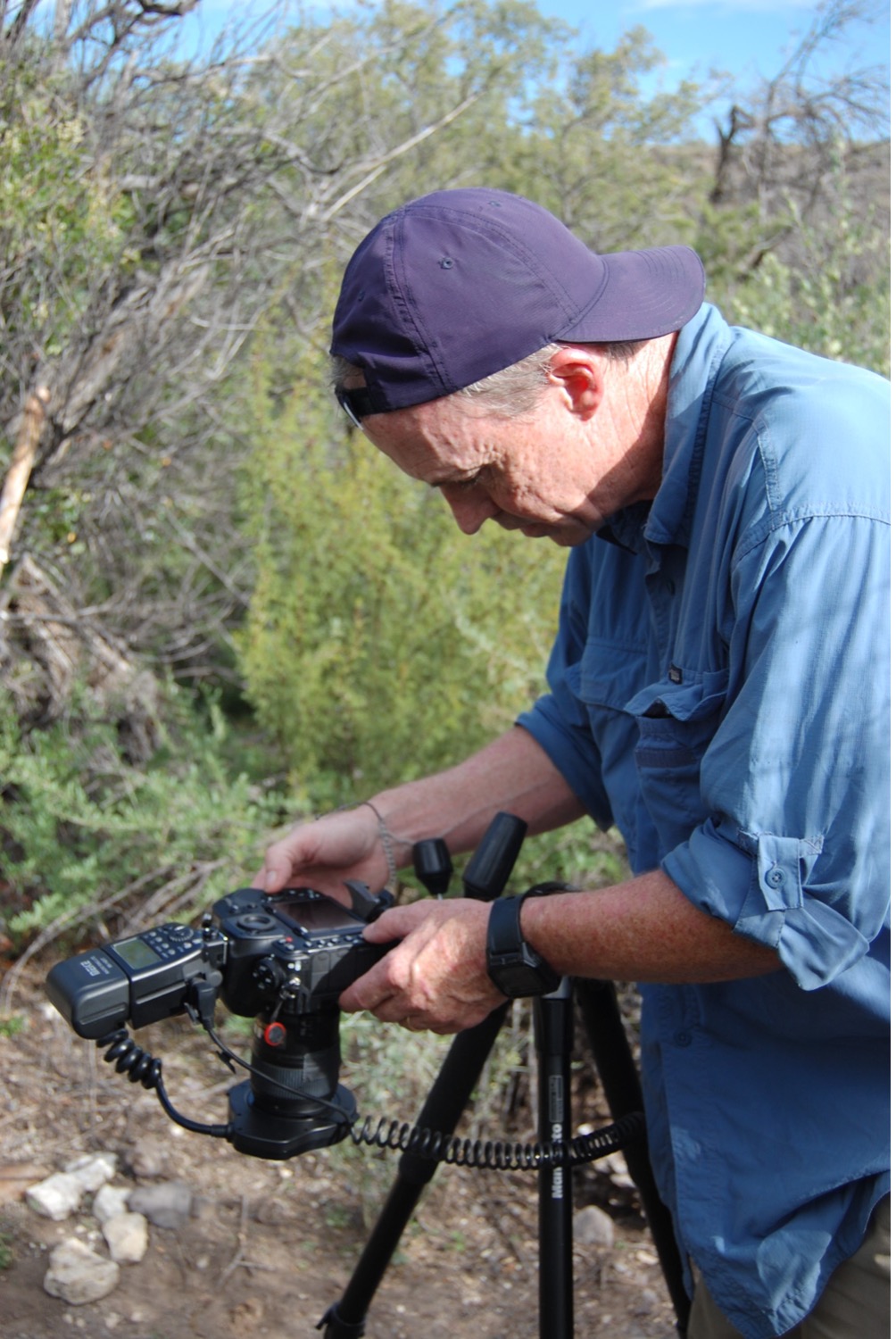 Museum Photographer Rick Wicker Setting Up His Cameras Over An Ant Nest Photo Pe Cushing