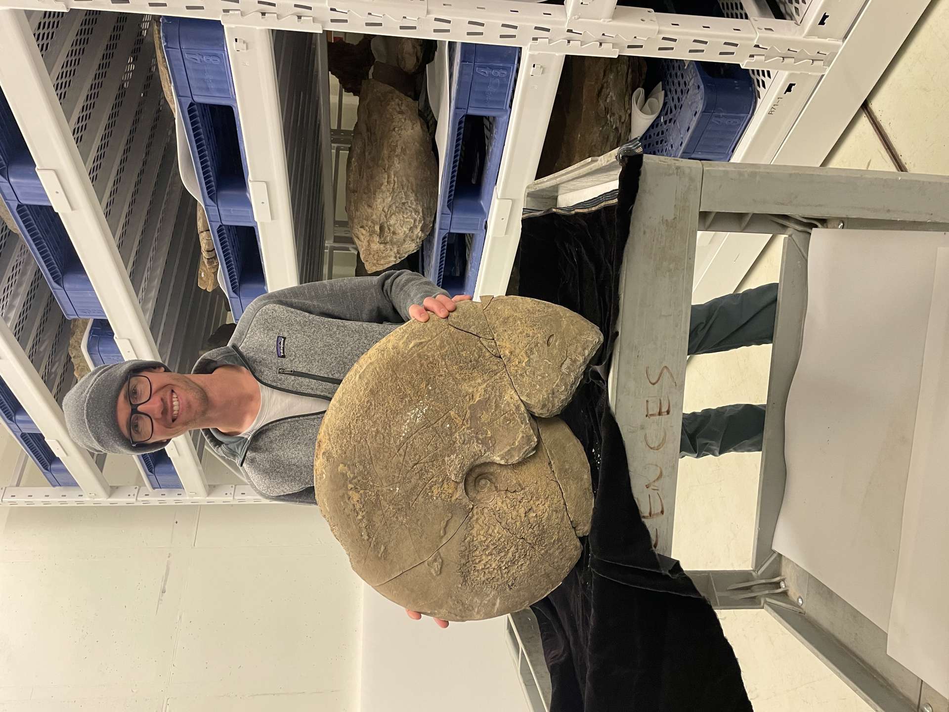 Jake Wilson, the newest member of the Denver Museum of Nature & Science’s Earth Sciences Department shows off an ammonite fossil specimen in the collection. The 73-million-year-old Placenticeras costatum fossil (EPI.16889) was collected by Kirk Johnson in 1998 from the Kremmling Ammonite Locality in Grand County, Colo. (Photo/ Gussie Mccracken)
