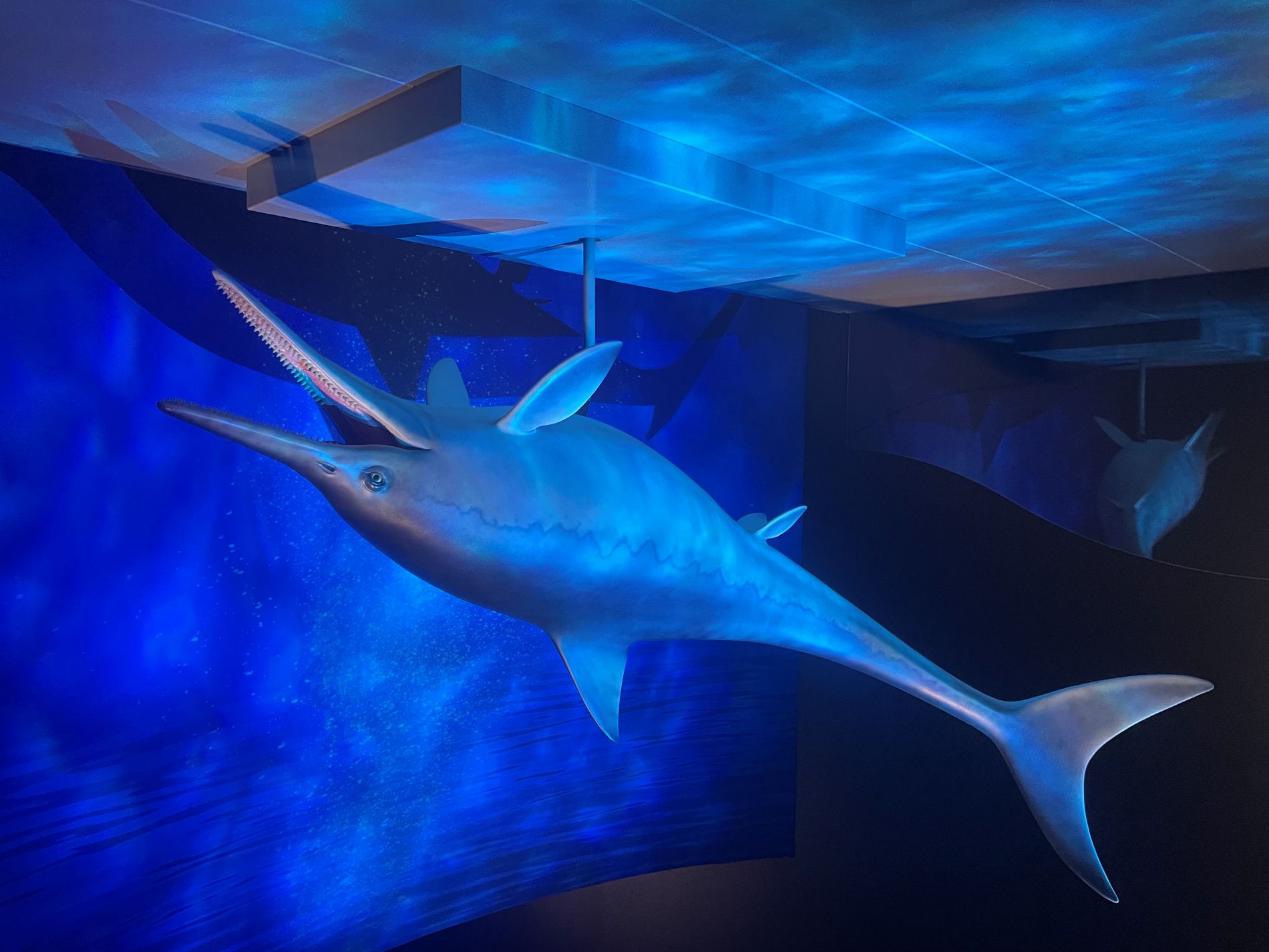 Jurassic Oceans Ichthyosaur