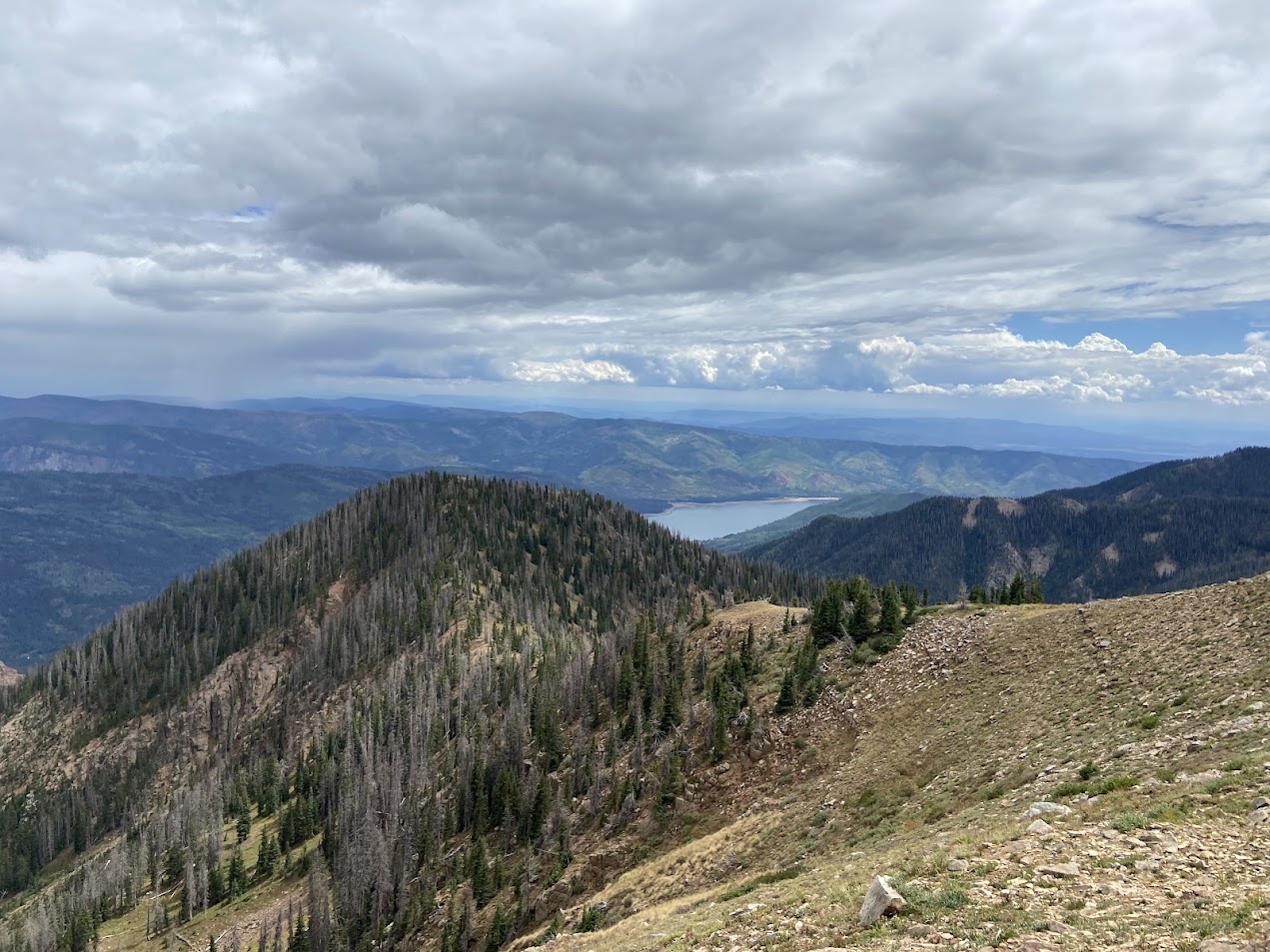 View from the Devon Point fossil locality overlooking Vallecito Valley. (Photo/Sadie Sherman)