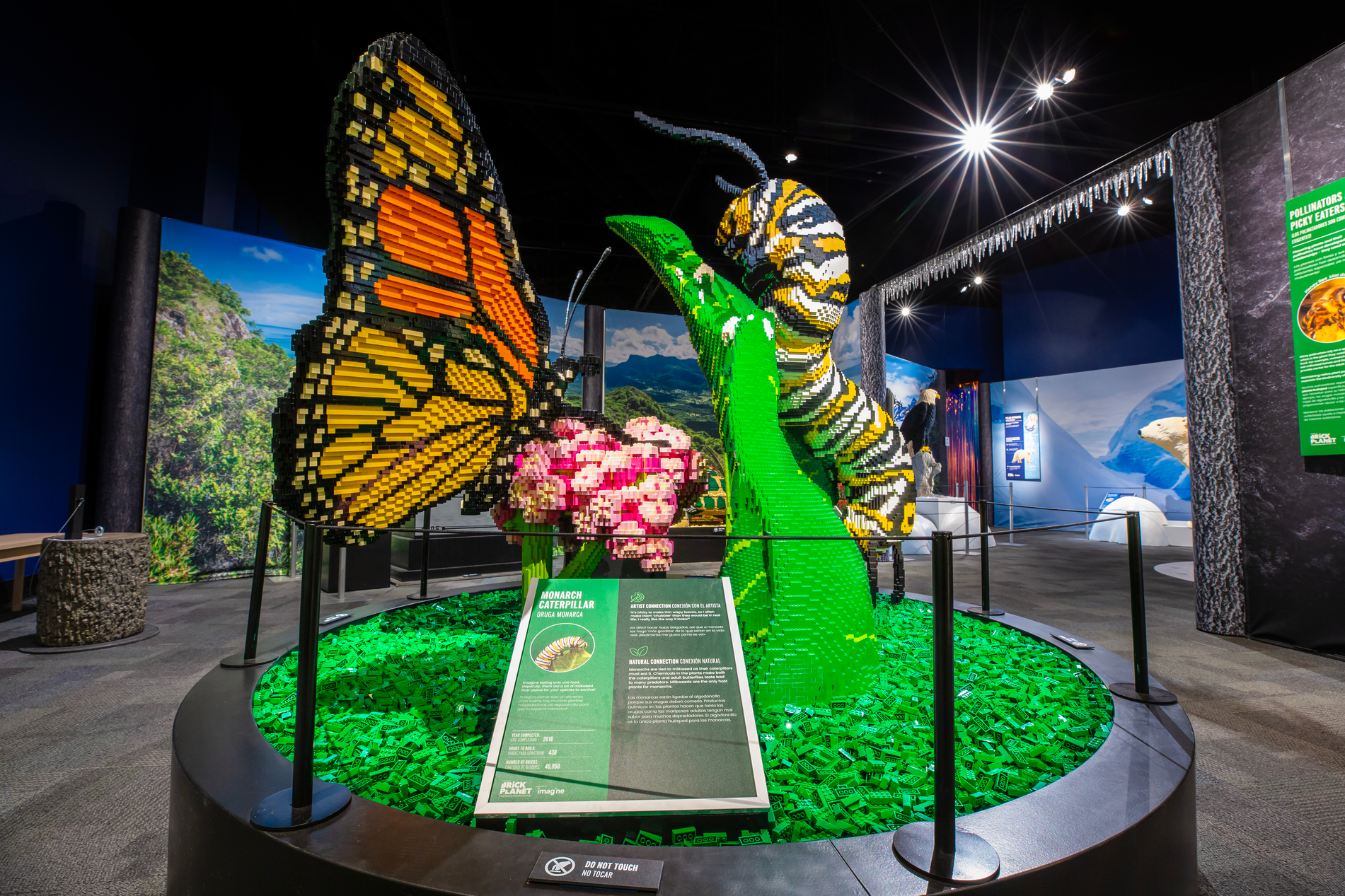 Surprising Symbiosis: Nature’s Unexpected Partnerships