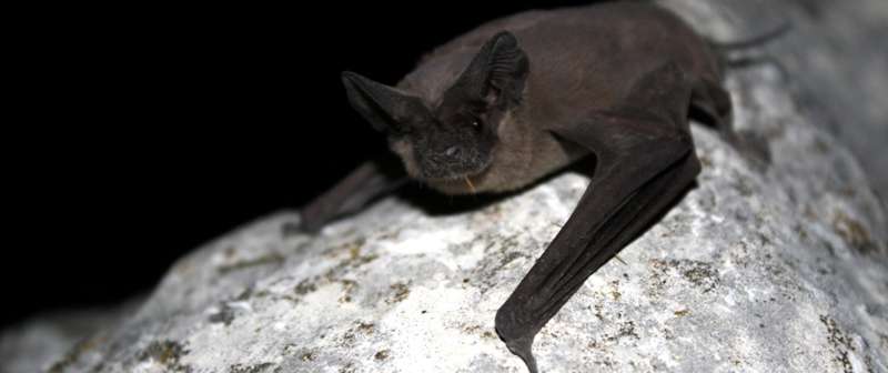 Screen Shot 2022 10 17 At 14425 Pm