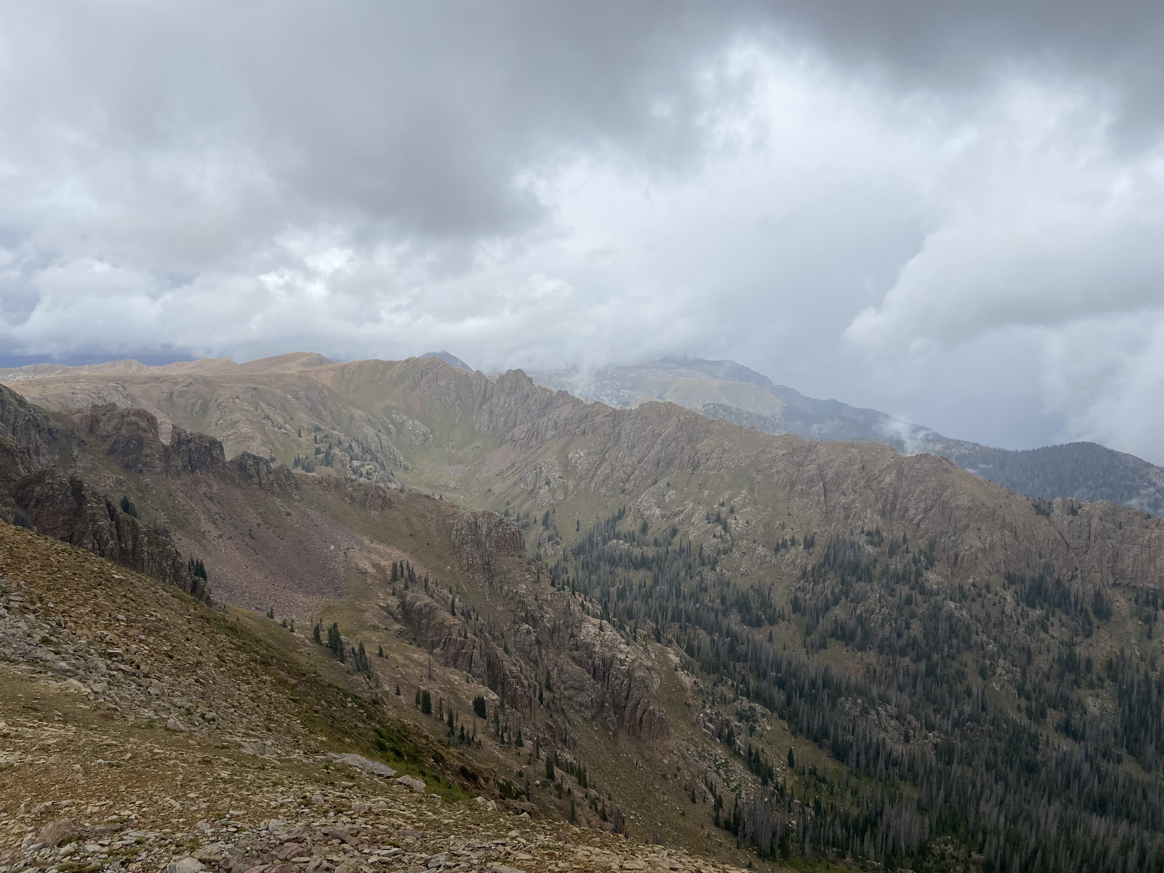 Devon Point fossil locality near Durango, CO. (Photo/Sadie Sherman)