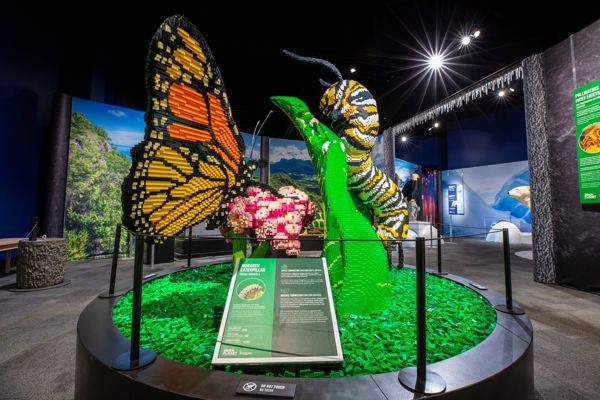 exhibit inside of exhibition