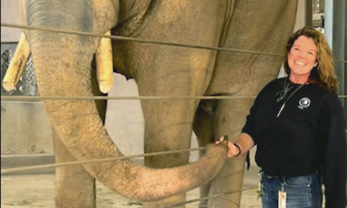 Screenshot 2025 10 21 101120